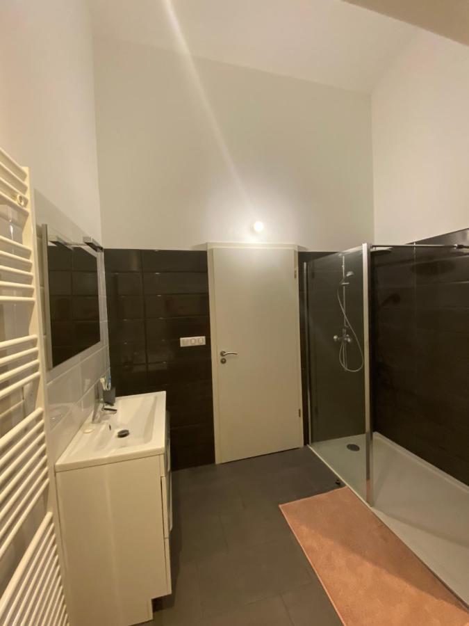 Luxury Loft Metz Apartment Bagian luar foto